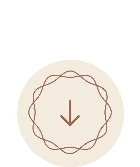 Explore more btn